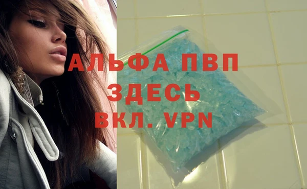 трава Балахна