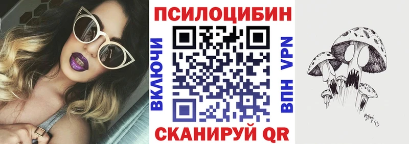 даркнет наркотические препараты  Кудымкар  Псилоцибиновые грибы MAGIC MUSHROOMS 